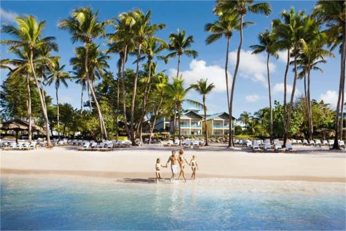 65 фото отеля Dreams La Romana Resort & Spa 5* 