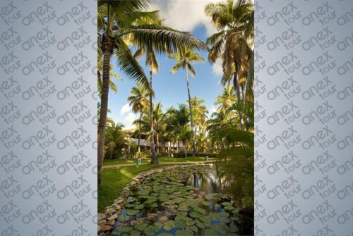 2 фото отеля Melia Caribe Tropical 5* 