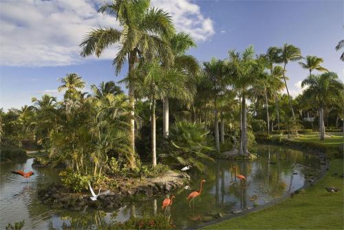 6 фото отеля Melia Caribe Tropical 5* 