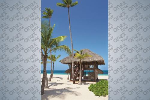 4 фото отеля Secrets Royal Beach Punta Cana 5* 