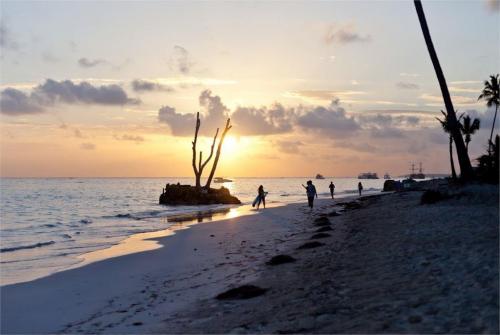 96 фото отеля Vista Sol Punta Cana Beach Resort 4* 