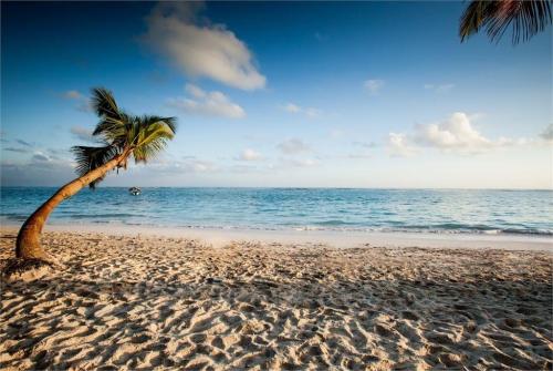 98 фото отеля Vista Sol Punta Cana Beach Resort 4* 