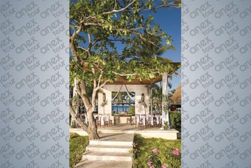 16 фото отеля Zoetry Agua Punta Cana 5* 
