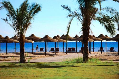 8 фото отеля Amwaj Blue Beach Resort & Spa Abu Soma 5* 