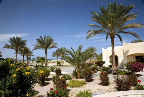4 фото отеля Coral Beach Resort Hurghada 4* 