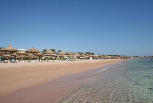 4 фото отеля Gafy Resort Sharm El Sheikh 4* 