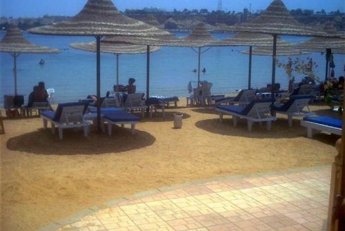 6 фото отеля Luna Sharm Hotel 3* 