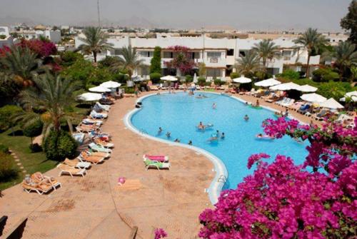 4 фото отеля Mexicana Sharm Resort 4* 