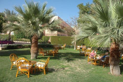 15 фото отеля Nubian Village 5* 