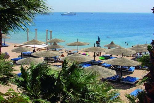 7 фото отеля Pharaoh Al Mashrabiya Hurghada 3* 
