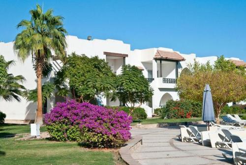 4 фото отеля Poinciana Sharm Resort 4* 