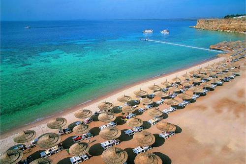 3 фото отеля Reef Oasis Beach Resort 5* 