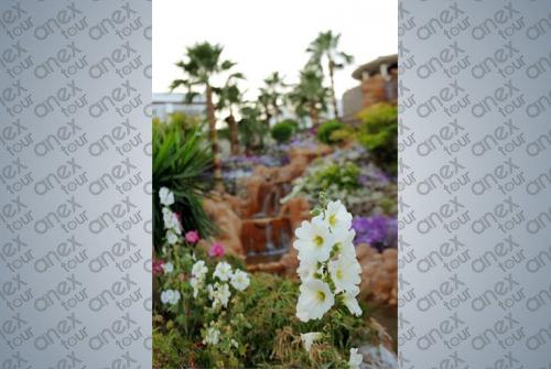 4 фото отеля Renaissance Sharm El Sheikh Golden View Beach Resort 5* 