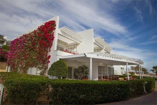 2 фото отеля Royal Monte Carlo Sharm El Sheikh 5* 