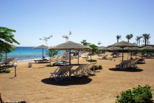 3 фото отеля Sea Garden Hotel Hurghada 3* 