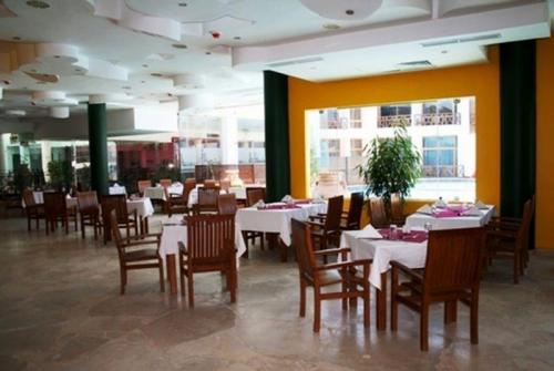 8 фото отеля Sharm Elysee Resort & Mircato 3* 