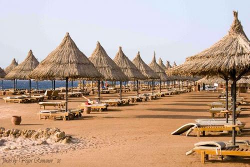 2 фото отеля Sheraton Sharm Resort 5* 