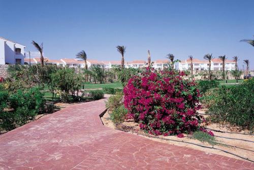 7 фото отеля Sheraton Sharm Resort 5* 