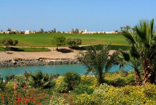 8 фото отеля Steigenberger El Gouna Golf Resort 5* 
