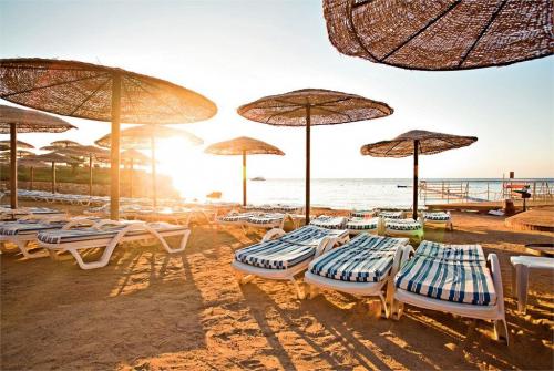 17 фото отеля Sunrise Diamond Beach Resort 5* 