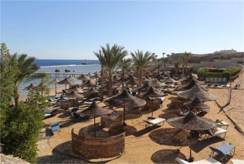 10 фото отеля Tamra Beach Sharm El Sheikh 4* 