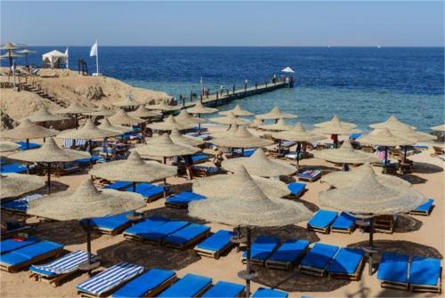 11 фото отеля Tamra Beach Sharm El Sheikh 4* 