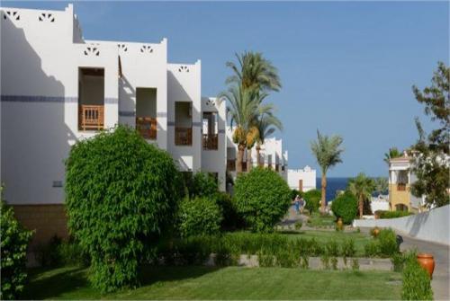 2 фото отеля Tamra Beach Sharm El Sheikh 4* 