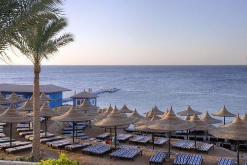 12 фото отеля Tiran Island Hotel Sharm El Sheikh 4* 