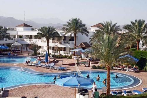 3 фото отеля Viva Sharm Hotel 3* 