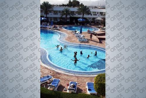 4 фото отеля Viva Sharm Hotel 3* 