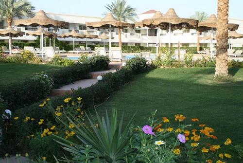5 фото отеля Viva Sharm Hotel 3* 