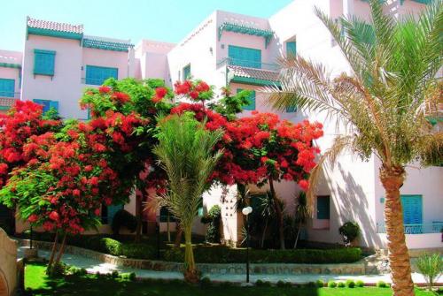 4 фото отеля Zahabia Hotel 3* 