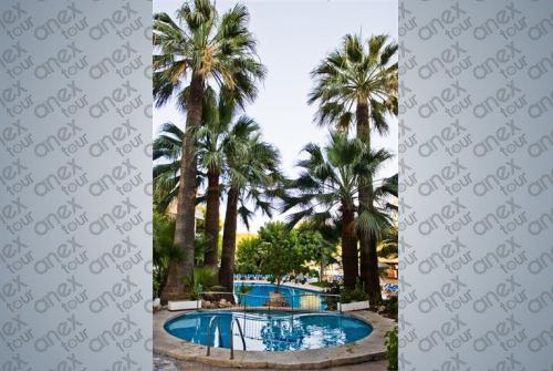 4 фото отеля Delfin Playa 4* 
