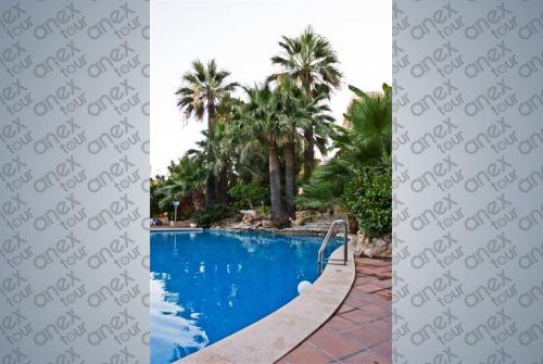 5 фото отеля Delfin Playa 4* 