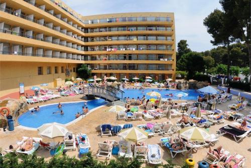 4 фото отеля Medplaya Calypso 3* 