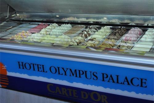 20 фото отеля Olympus Palace 4* 