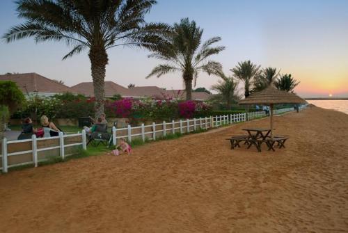 14 фото отеля Barracuda Beach Resort Umm Al Quwain 3* 