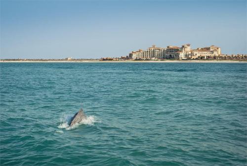 8 фото отеля The St Regis Saadiyat Island Resort Abu Dhabi 5* 