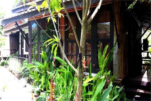 2 фото отеля Bamboo Village Kata 3* 