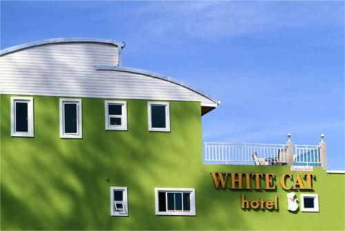 1 фото отеля White Cat Hotel 3* 