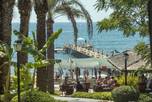26 фото отеля Alva Donna Beach Resort Comfort 5* 