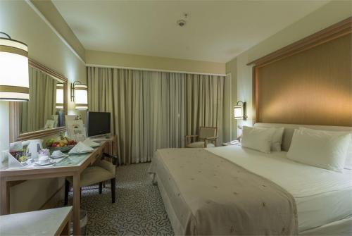 44 фото отеля Alva Donna Beach Resort Comfort 5* 