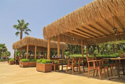 30 фото отеля Club Turtas Beach Hotel 4* 