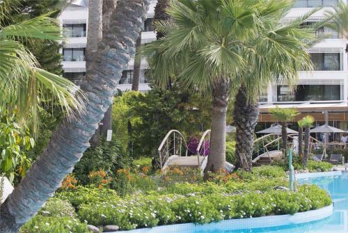 6 фото отеля D Resort Grand Azur 5* 
