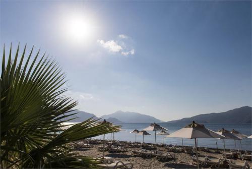 89 фото отеля D Resort Grand Azur 5* 