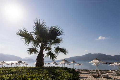 90 фото отеля D Resort Grand Azur 5* 
