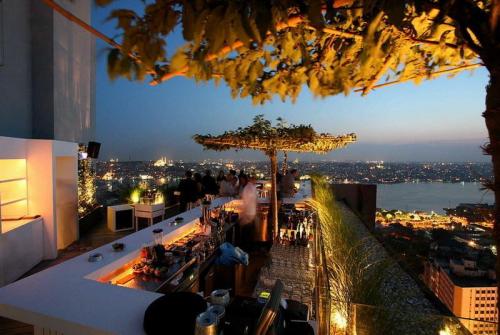9 фото отеля The Marmara Pera 4* 