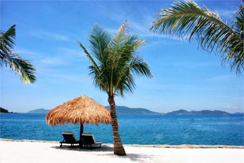 7 фото отеля Amiana On The Bay Nha Trang 5* 